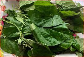 Okazi Leaf
