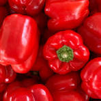 Bell Pepper
