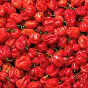 Fresh Habenaro Pepper