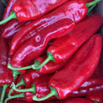 Fresh Shephard Pepper