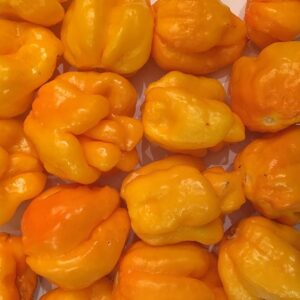 Fresh Yellow Habenaro Pepper